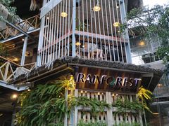 -Rainforest