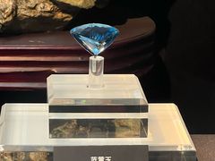 -烟台自然博物馆
