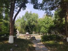 -成飞公园