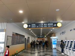 -上海交通大学医学院附属上海儿童医学中心(陆家嘴总院区)