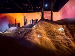 -精绝七日-新疆尼雅遗址数字大展【拉法耶文化艺术中心】