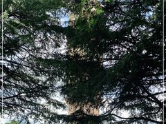 -崇圣寺三塔文化旅游区