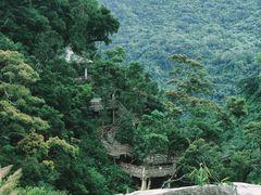 -海南热带雨林国家公园吊罗山景区