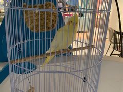 -星巴克臻选(周浦万达店)