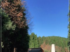 -山王坪喀斯特国家生态公园