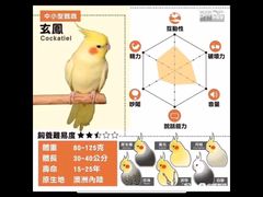 -吉丁鸟咖·异宠·寄养