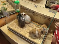 -天河领展广场