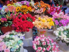 -循礼门鲜花花市(武汉循礼门店)