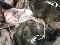 -星湖特色餐厅· 三岔湖环球融创天堂洲际酒店