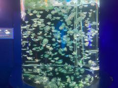 -太平洋海底世界