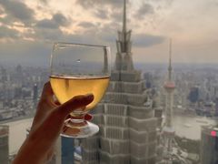 -The lounge 柏悦酒店大堂酒廊(上海环球金融中心店)