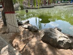 -高庙保安寺