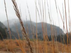 -楠溪江风景名胜区