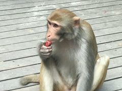 -黔灵山公园-南门售票处