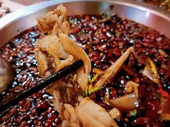 -耗儿鱼蛙蛙叫·老成都火锅(蛇口海昌街店)