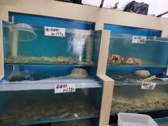 水产区-胶东海鲜大排档(北太平庄店)