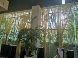 -CARR SALON