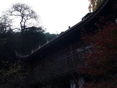 -韬光茶庵