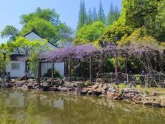 -上海醉白池公园