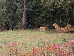 -杭州野生动物世界