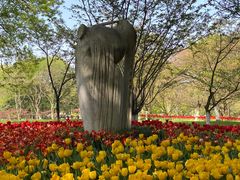 -九曜山
