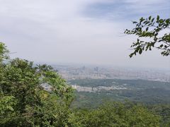 -紫金山山顶公园