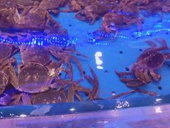 -澜悦港海鲜体验主题餐厅