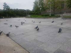 -天王寺公园