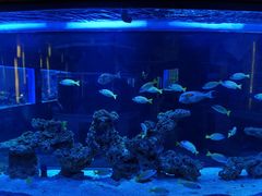 -上和臻品中国菜(花园街店)