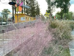 -前小桔亲子创意农场·草莓采摘·露营烧烤