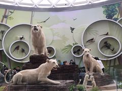 -陕西自然博物馆