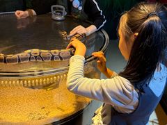 -萌宠奇缘(荣鼎店)