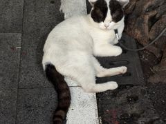 -公园前(地铁站)