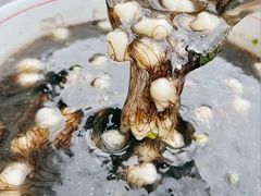 -坛南湾阿强农家乐.海鲜大排档老字号(福州地标美食店)