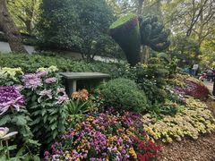 -杭州植物园