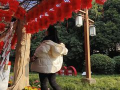 -房湖公园
