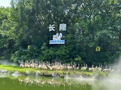 -广州长隆飞鸟乐园