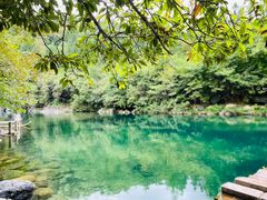 -石台牯牛降景区