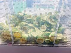 -introlemons(北京西单更新场店)