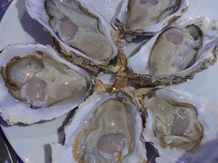 -千岛蚝高压锅生蚝·人参火锅(白云万达店)