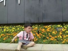 -邓小平故里