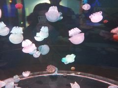 -多彩贵州城极地海洋世界