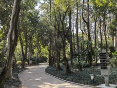 -南宁南湖公园