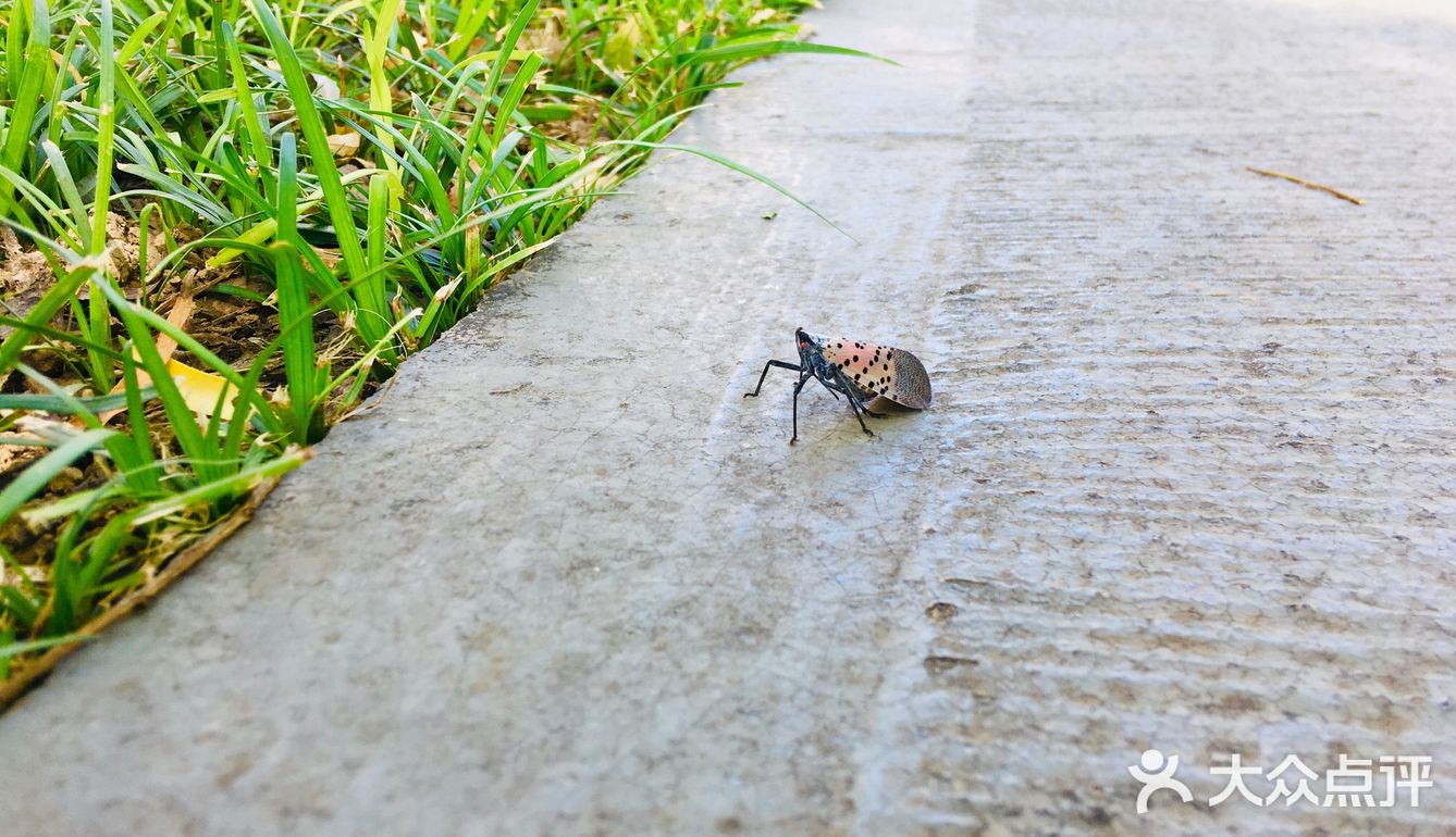 31-20摄氏度，吹着风温度还超级舒服