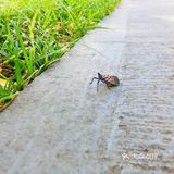 31-20摄氏度，吹着风温度还超级舒服