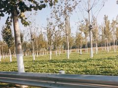 -天津武清北运河郊野公园房车露营地