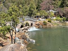 -黑龙潭公园