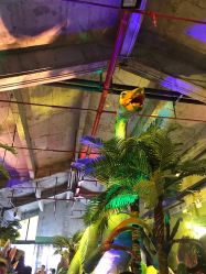 -恐龙探索乐园(磁器口店)