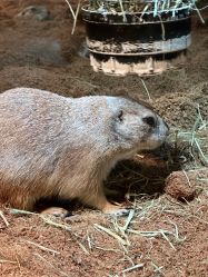 -Zoolung Zoolung动物主题公园(海信广场店)