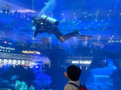 -成都浩海立方海洋公园